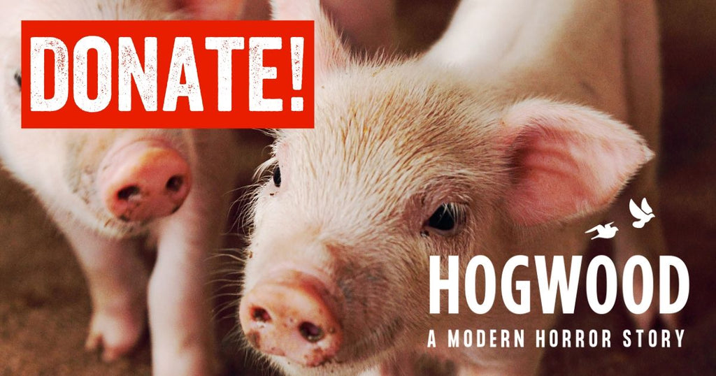 Viva Vegan Charity Hogwood: a modern horror story